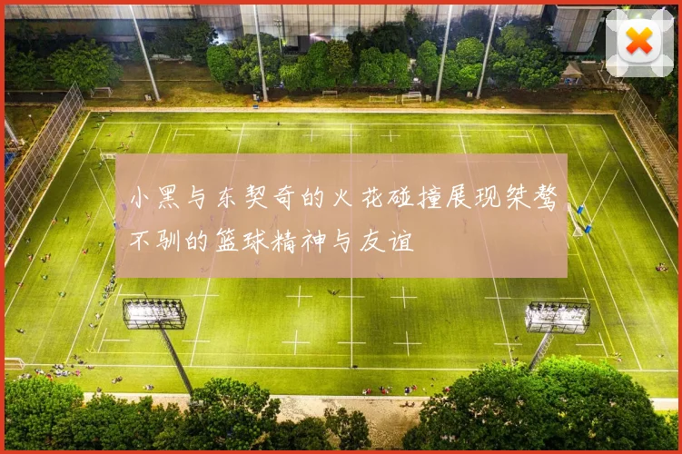 小黑与东契奇的火花碰撞展现桀骜不驯的篮球精神与友谊