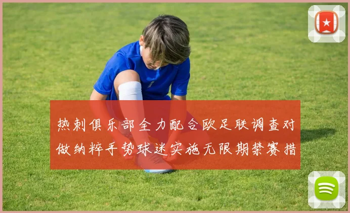 热刺俱乐部全力配合欧足联调查对做纳粹手势球迷实施无限期禁赛措施