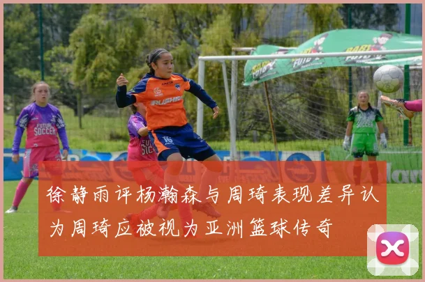 徐静雨评杨瀚森与周琦表现差异认为周琦应被视为亚洲篮球传奇