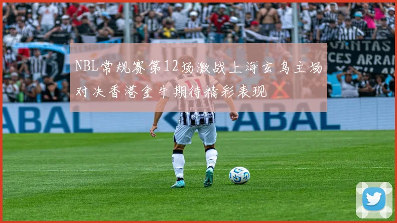 NBL常规赛第12场激战上海玄鸟主场对决香港金牛期待精彩表现