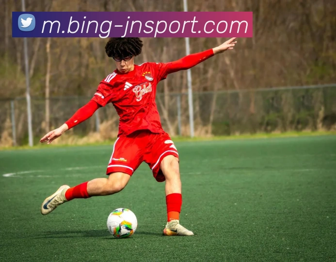 江南体育平台生态图